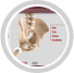 Multimedia Patient Education - Mr. Russell Miller - Hip, knee & Shoulder Surgeon